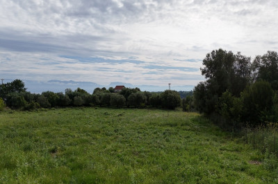 Giota_Palia003.jpg