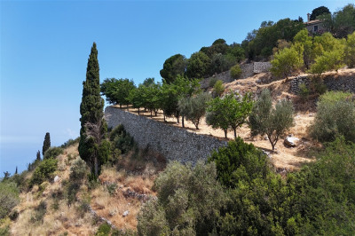 DrimonasInvestmentLand01.jpg